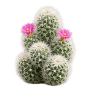 018