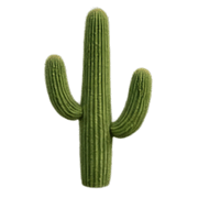 019