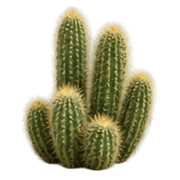 025