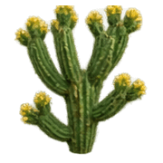 026