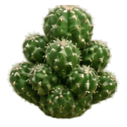031