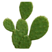 032