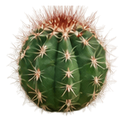 033