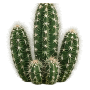 034