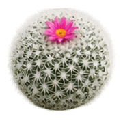 035