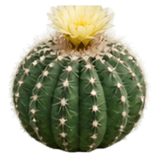037