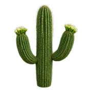 040