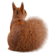 036