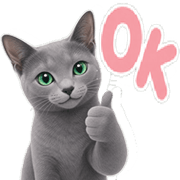 005