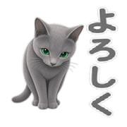 007