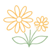 008