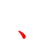 256