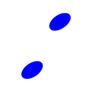 244