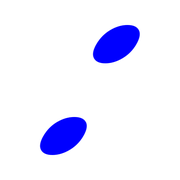 244