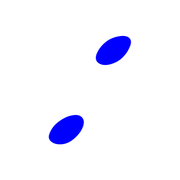 244