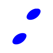 244