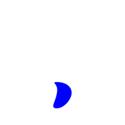 256