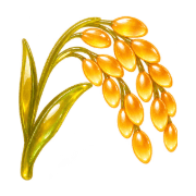 025