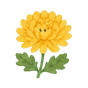 008