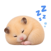 026