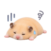 027