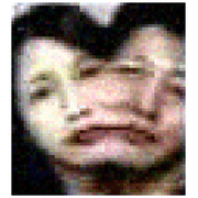 003