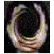 005