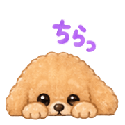 023