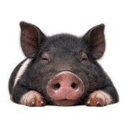 018