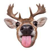 011