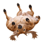 040