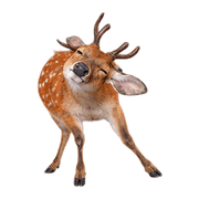 039
