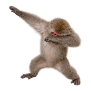 023