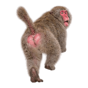 040