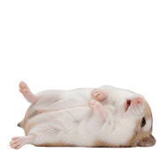 012