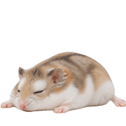 013