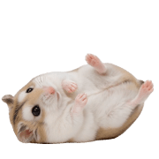 014