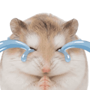 017