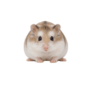 021