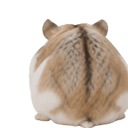 027