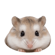 036