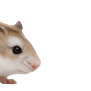 039