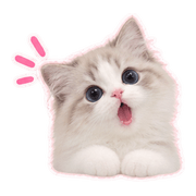 004