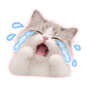 011