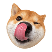 008