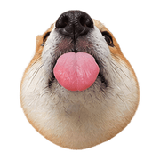 013