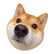 020