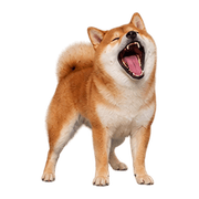 030