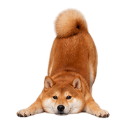 031