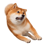 032